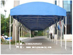 ϵTLP-05